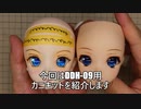 【ドリフィードリーム】ＤＤ用の視線可動化カニキットを装着しました／／SMD技研工房さんのカニキット導入
