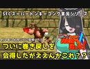【スーパードンキーコング】ラスティちゃんは絶対に爬虫類なんかに屈しない！＃3【SFC】
