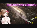 ささらさんと！ベイトシーバス道 part3