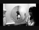 Blonde Redhead - For The Damaged + For The Damaged Coda