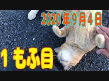 1もふ目