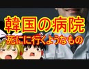 ゆっくり雑談 264回目(2020/9/10)