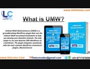 Unilevel MLM WooCommerce Plan, WordPress
