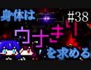 【DAEMON X MACHINA】身体はウナきりを求める#38【東北きりたん＆音街ウナ】