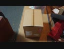 拾い猫の子育て24