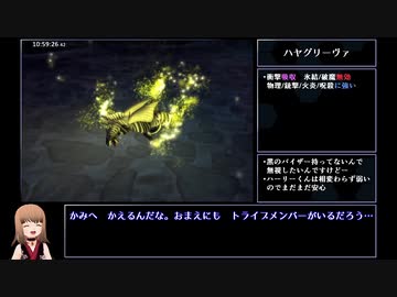 【DDS】DIGITAL DEVIL SAGA アバタール・チューナー 1&amp;2連続RTA 12時間21分 part20