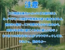 全てを失った付喪神が幻想入り　第五張