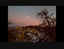 オリジナル曲／Sanctum