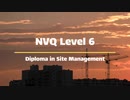 NVQ Level 6