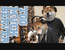 多すぎる情報！脳がオーバーフロー！【Hacknet#15】