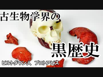 ゆっくりがもっと恐竜を解説すんよ～　第九回：ピルトダウン人　プロトアビス