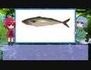 【ゆっくり解説】わかさぎ姫が教える魚　#23匹目　～鯖～
