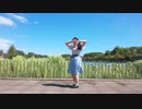 【めるでぃ】Mr.wonderboy 踊ってみた