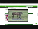 【競馬に人生】デアリングタクト＆コントレイル【無敗の2冠馬】
