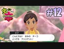 ブリリアントって、何！？【虫ポケ（♀）だけでポケモン剣盾】＃12