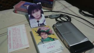 南野陽子 - 雪の花片 & 昼休みの憂欝 「ガーランド カセットver.」