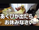秋の夜長に見る動画・前編