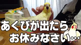 秋の夜長に見る動画・前編