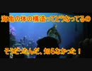 【知らなかった】海亀の体の構造ってどうなってるの【タートルトーク】東京ディズニーシー