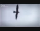 進撃の巨人×imaginary like the justice 字幕付き