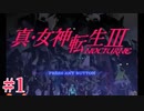 RE出るけど無印版を初見プレイ【真・女神転生ⅢNOCTURNE】　＃1