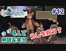 【新作FFCCほぼ毎日更新】クリスタルクロニクル実況＆解説Part.12【ほぼ４人実況プレイ】