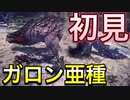 【MHWI】加速！最強の一撃！見事なHit and Awayをするオドガロン亜種を操虫棍とスラアクで駆逐してやる！！