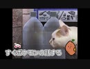 【つぐのひ/女性実況】お散歩ルートに裏ルートがあったっぽいから猫ちゃんと2人で行く！