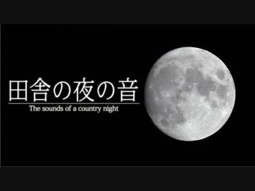 【音散歩】田舎の夜の音