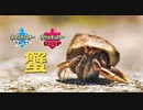 【ポケモン剣盾】※画像はイメージです　〜イシズマイを添えて〜