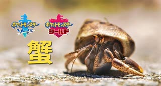【ポケモン剣盾】※画像はイメージです　〜イシズマイを添えて〜
