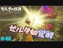 【続編決定記念】のんびりと伝説「ゼルダの伝説～ブレスオブザワイルド～」　＃40