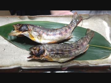 山女魚と鮎【長火鉢とおっさん173】