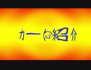 【ゆっくり実況】ゆっくり御一行と行くマリオカートツアー　Part1