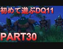 【実況】初めて遊ぶドラゴンクエストXI S　#30　夜中盗賊