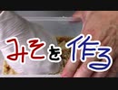 自作みそ【嫌がる娘に無理やり弁当を持たせてみた息子編】