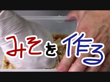 自作みそ【嫌がる娘に無理やり弁当を持たせてみた息子編】