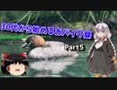 【紲星あかり車載】30代から始めるおバイク録 Part5