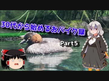 【紲星あかり車載】30代から始めるおバイク録 Part5