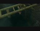 【トワプリ】ＨＤな尻に敷かれて厄動するケモノ【字幕プレイ動画その１５】