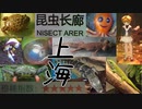 上海大自然野生昆虫館紹介(2018)