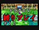 【アルカリ性】26周目だし、縛りプレイで楽しもう！【ドラクエ5シーズン1 Part12】