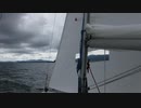DSCF3559