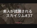 【素人が蹂躙されるスカイリム】実況プレイ_part37