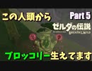 この人、頭からブロッコリー生えてます 【ゼルダの伝説BotW part5】