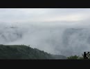 【ワイルド・ユース】ジエをクリスタルのりにして夏の思い出を Make Zhiye into crystal glue to seal the memories of summer|野居青年|