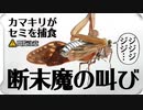 【セミファイナル】セミがカマキリに生きたまま食べられる【断末魔】 #身近な生き物語