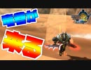 小竜巻がベリオロス亜種の本体です【MH3G.HDver】
