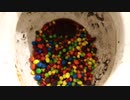 スキットルズとM&M'sをトイレに流してみた