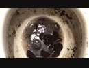 M&M'sとオレオのクッキーをトイレに流してみた５